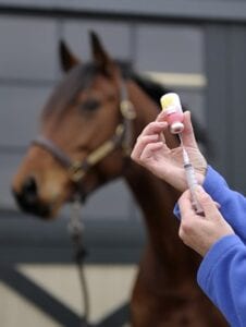 vaccination with horse