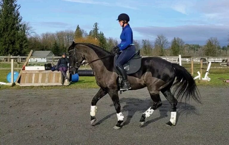 rehab lessons snohomish county