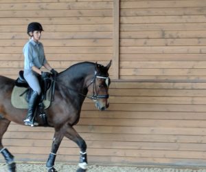 horseback riding horseback riding