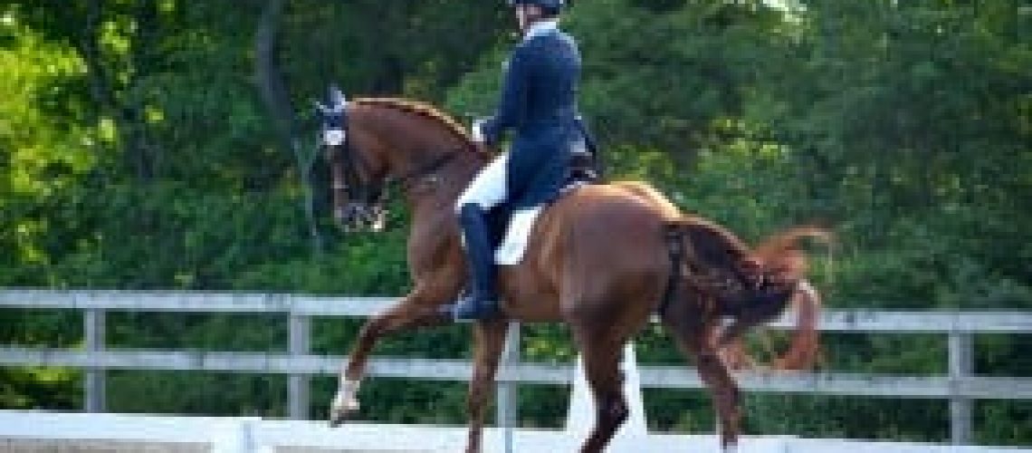 Lauren Sprieser riding a horse