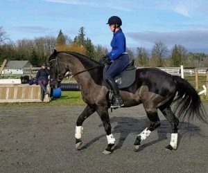 horse and rider rehab lessons snohomish county